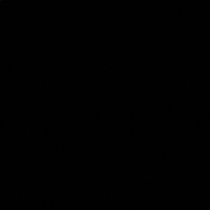 Meet your Posher, Mia